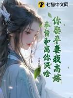 你娶平妻我便另招良婿短剧